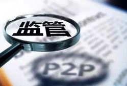 福州公共信用贷款申请攻略：低利率+快速审批平台解析，深圳市市花